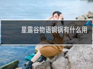 星露谷物语铜锅有什么用