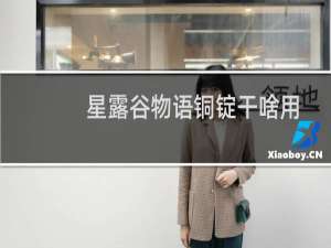 星露谷物语铜锭干啥用