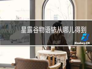星露谷物语铱从哪儿得到