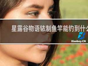 星露谷物语铱制鱼竿能钓到什么