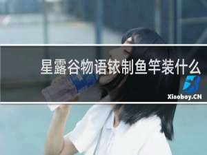 星露谷物语铱制鱼竿装什么