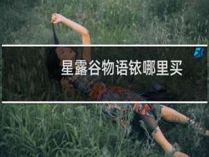 星露谷物语铱哪里买