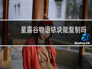 星露谷物语铱块能复制吗