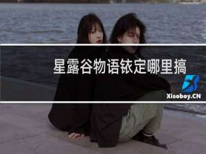 星露谷物语铱定哪里搞