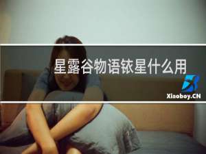 星露谷物语铱星什么用