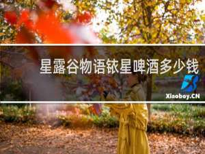 星露谷物语铱星啤酒多少钱