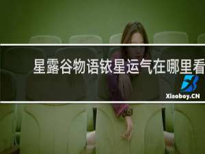 星露谷物语铱星运气在哪里看