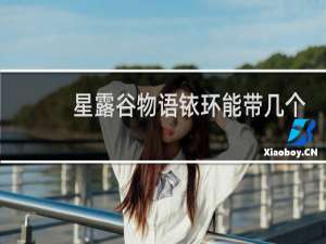 星露谷物语铱环能带几个