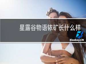 星露谷物语铱矿长什么样