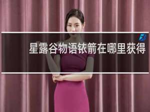 星露谷物语铱箭在哪里获得
