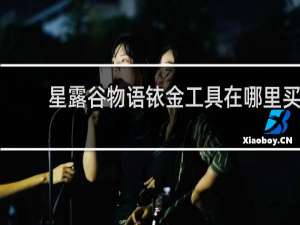 星露谷物语铱金工具在哪里买