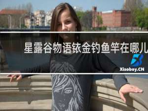 星露谷物语铱金钓鱼竿在哪儿