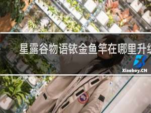 星露谷物语铱金鱼竿在哪里升级