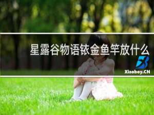 星露谷物语铱金鱼竿放什么