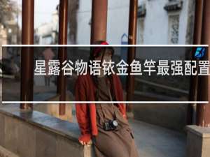 星露谷物语铱金鱼竿最强配置