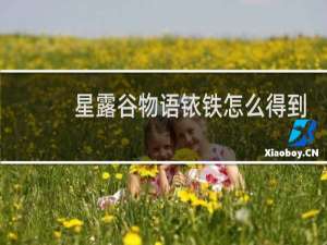 星露谷物语铱铁怎么得到