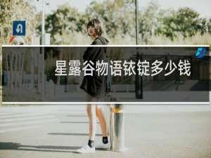 星露谷物语铱锭多少钱