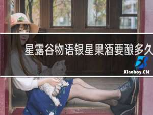 星露谷物语银星果酒要酿多久