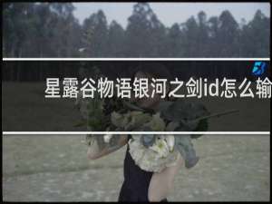 星露谷物语银河之剑id怎么输