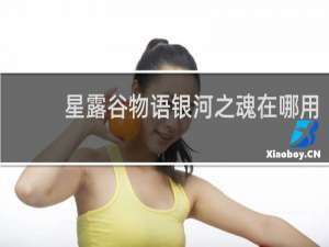 星露谷物语银河之魂在哪用