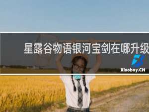 星露谷物语银河宝剑在哪升级