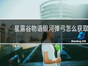 星露谷物语银河弹弓怎么获取