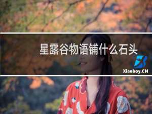 星露谷物语铺什么石头
