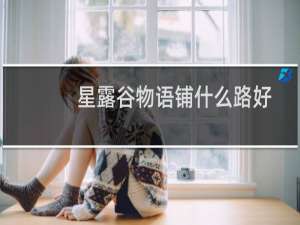 星露谷物语铺什么路好