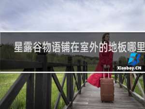 星露谷物语铺在室外的地板哪里买