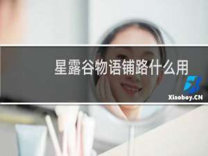 星露谷物语铺路什么用