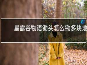 星露谷物语锄头怎么锄多块地