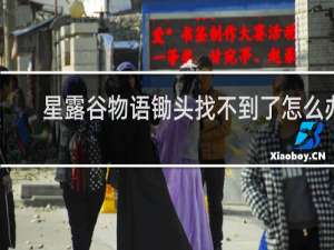 星露谷物语锄头找不到了怎么办