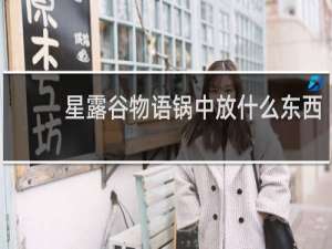 星露谷物语锅中放什么东西