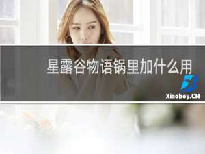 星露谷物语锅里加什么用