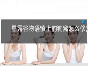星露谷物语镇上的狗窝怎么修复