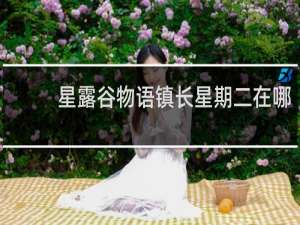 星露谷物语镇长星期二在哪