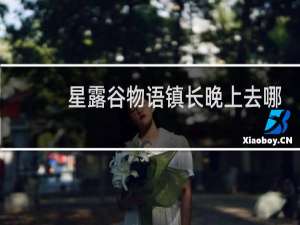 星露谷物语镇长晚上去哪