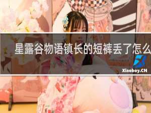 星露谷物语镇长的短裤丢了怎么办