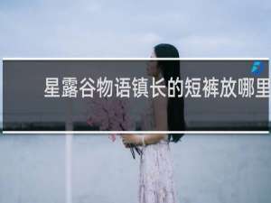 星露谷物语镇长的短裤放哪里