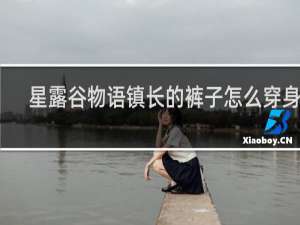 星露谷物语镇长的裤子怎么穿身上