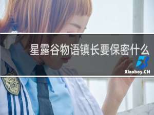 星露谷物语镇长要保密什么