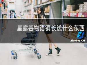 星露谷物语镇长送什么东西