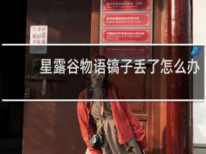 星露谷物语镐子丢了怎么办