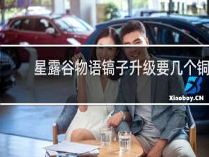 星露谷物语镐子升级要几个铜