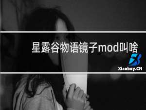 星露谷物语镜子mod叫啥