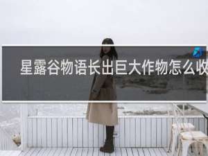 星露谷物语长出巨大作物怎么收获