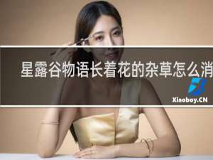 星露谷物语长着花的杂草怎么消除