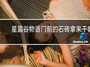 星露谷物语门前的石砖拿来干嘛