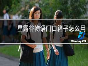 星露谷物语门口箱子怎么用