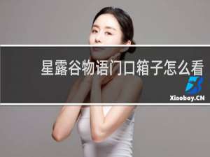 星露谷物语门口箱子怎么看